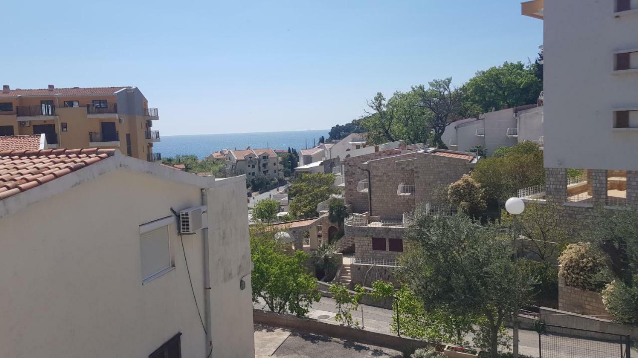 Apartmani Irena Petrovac Δωμάτιο φωτογραφία
